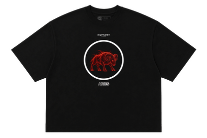 SIGIL-  ARIES ♈︎ (T-shirt premium Boxy fit)