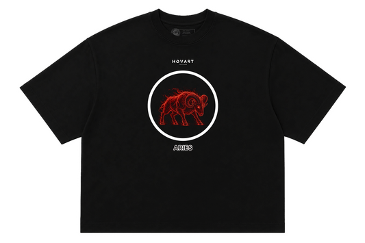 SIGIL-  ARIES ♈︎ (T-shirt premium Boxy fit)